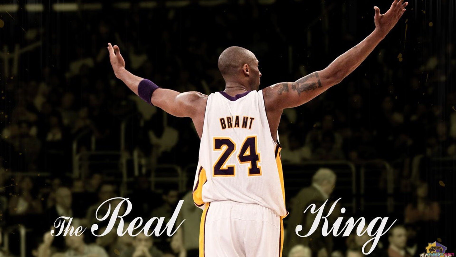 综合体育系“国家体测标准挑战赛” 部分学生达到优秀等级